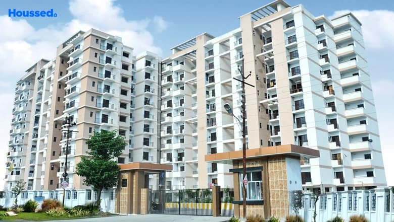 Gold Star Homes