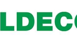 Eldeco Skywalk logo